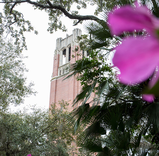 Hamilton School welcomes 21 new faculty members